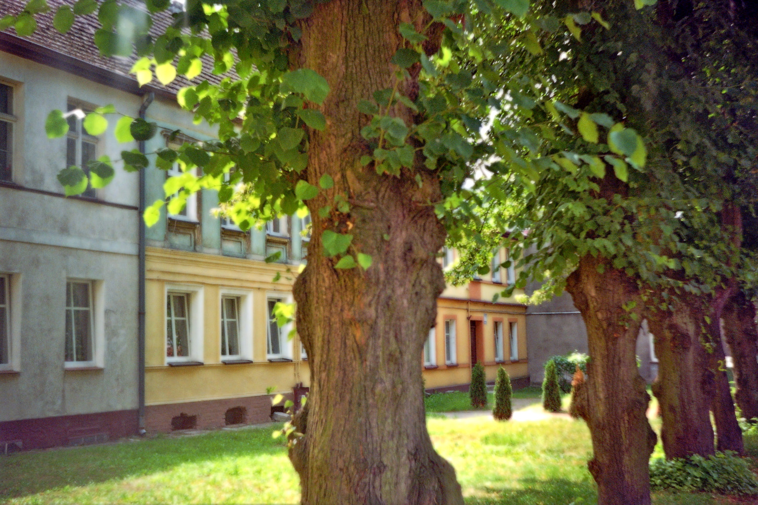 ../Images/Image001_24 (4).jpg